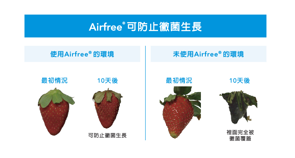 AirFree FIT40 - 詳情5