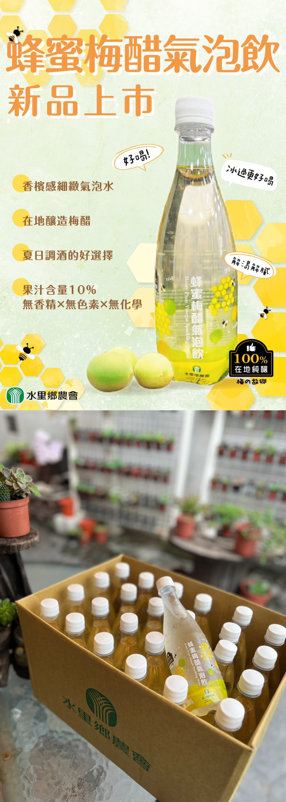 水里鄉農會 蜂蜜梅醋氣泡飲500ml(6入組)好評推薦