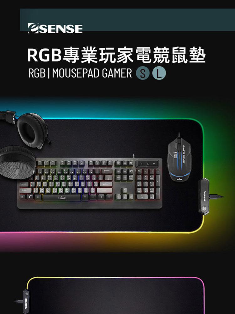 ESENSE 逸盛 【ESENSE 逸盛】RGB 專業玩家電