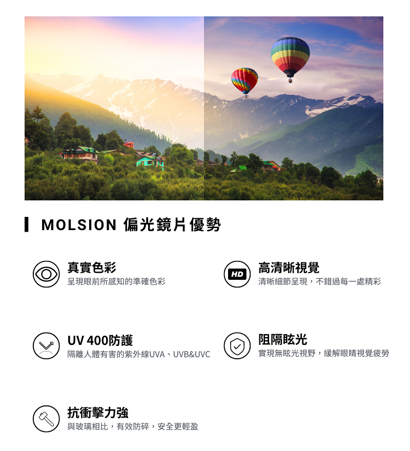 MOLSION 陌森 復古潮流膠框偏光太陽眼鏡(MS3100