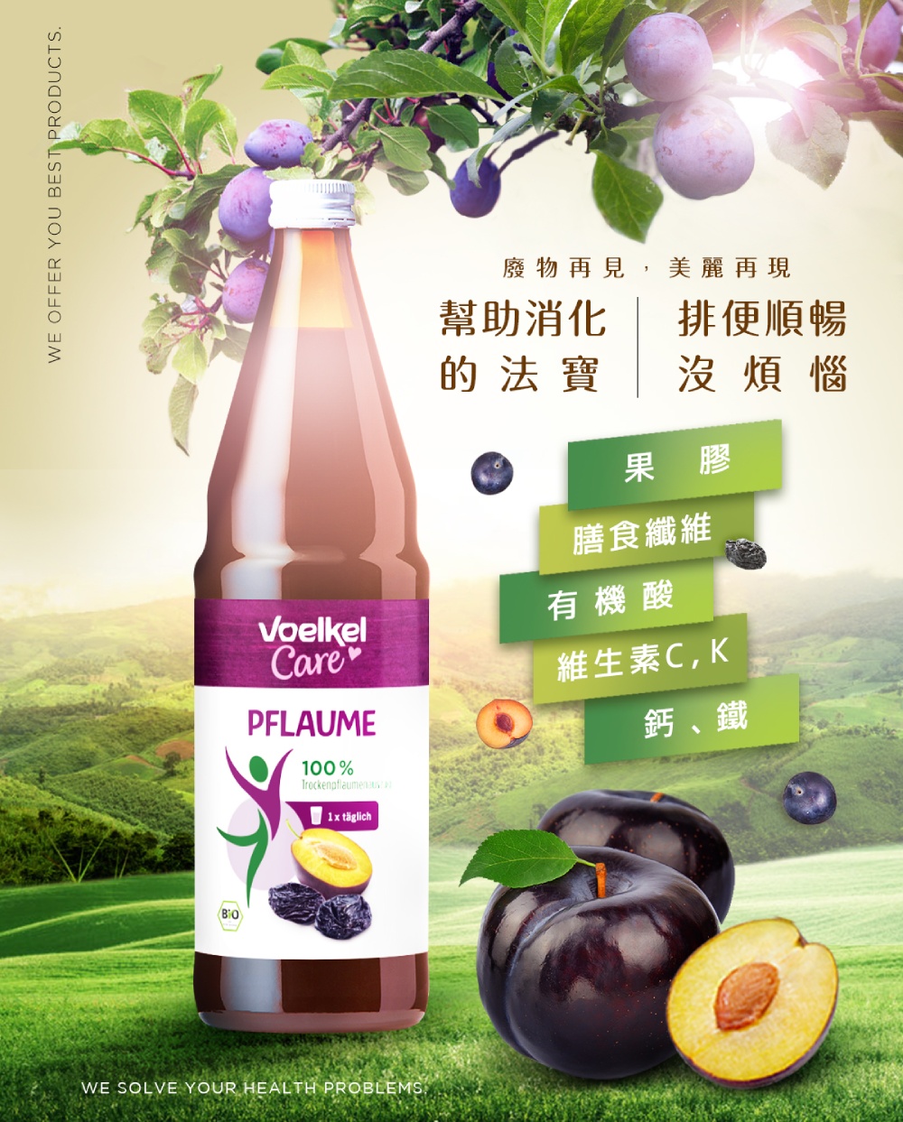 廢物再見,美麗再現