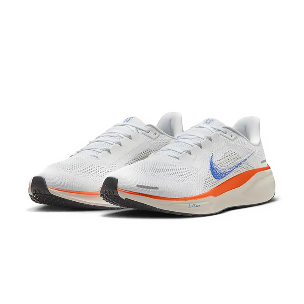 NIKE 耐吉 Nike Pegasus 41 Bluepr