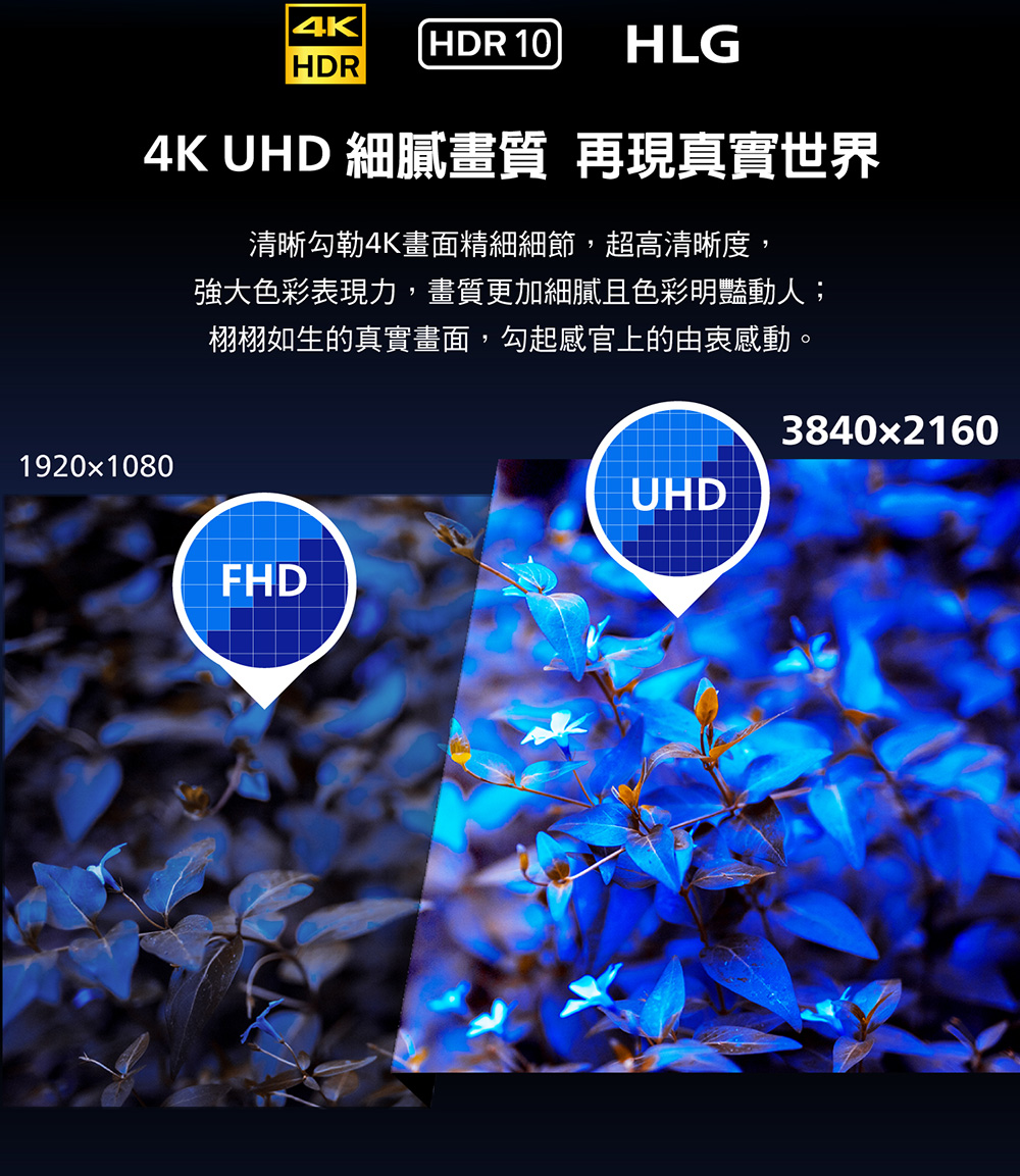 4K UHD 細膩畫質 再現真實世界 清晰勾勒4K畫面精細細節,超高清晰度, 強大色彩表現力,畫質更加細膩且色彩明豔動人 栩栩如生的真實畫面,勾起感官上的由衷感動。 