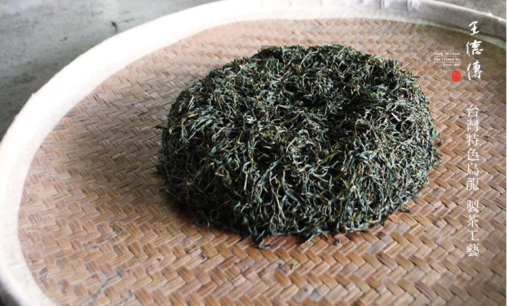 台灣特色烏龍 製茶工藝 