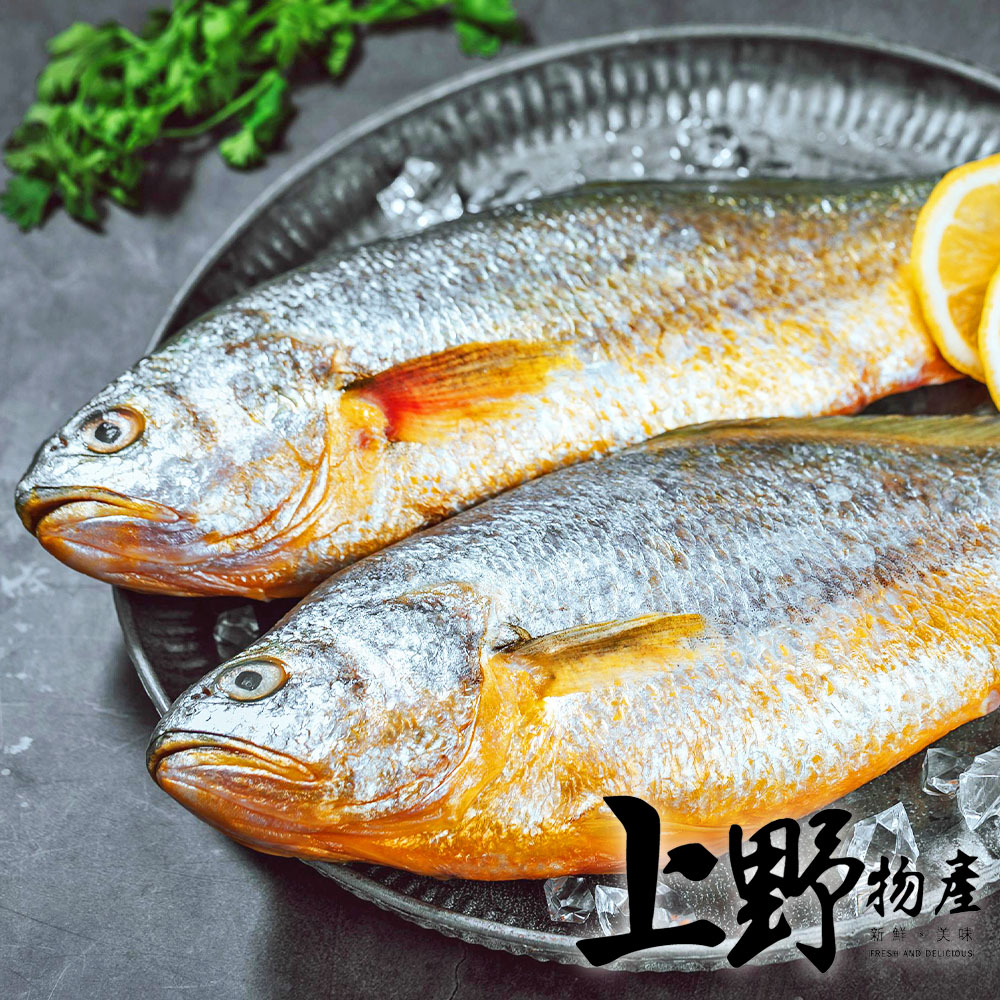 上野物產 10隻 黃花魚(300-360g±10%/2隻/包