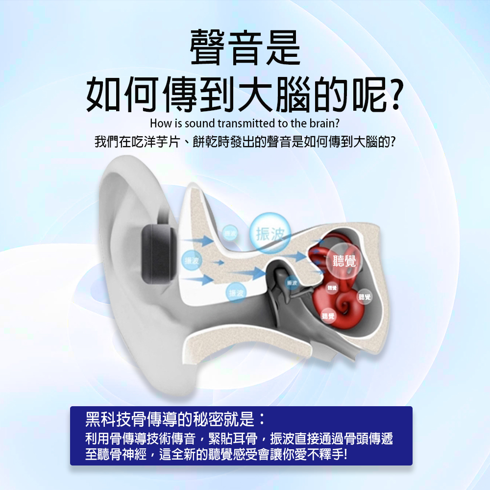 å©ç¨éª¨å³å°æè¡å³é³,ç·è²¼è³éª¨,æ¯æ³¢ç´æ¥éééª¨é ­å³é