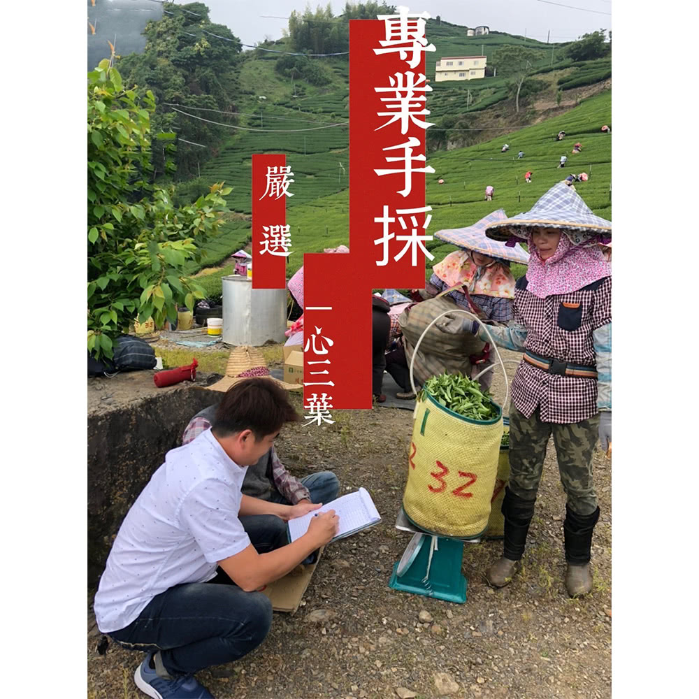 旺哥嚴選 台灣梨山手採蜜香紅茶禮盒組-折扣推薦
