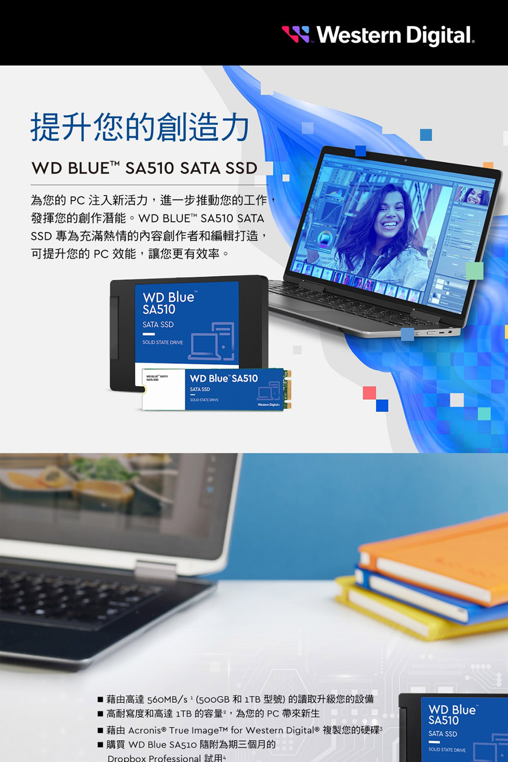 WD 威騰 搭外接盒 ★ WD BLUE 藍標 SA510 