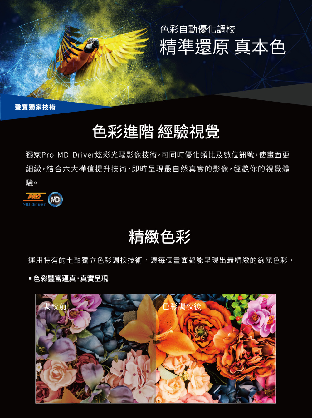 獨家Pro MD Driver炫彩光驅影像技術,可同時優化類比及數位訊號,使畫面更
