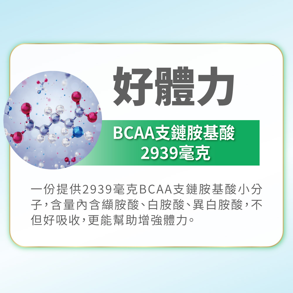 一份提供2939毫克BCAA支鏈胺基酸小分