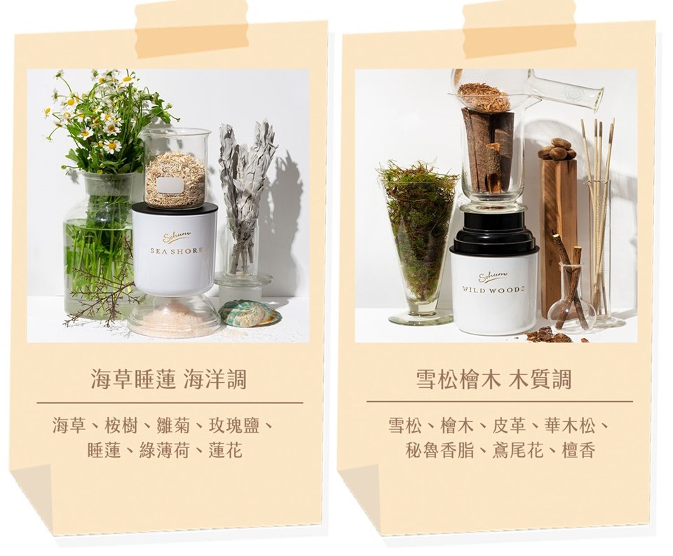 海草、桉樹、雛菊、玫瑰鹽、