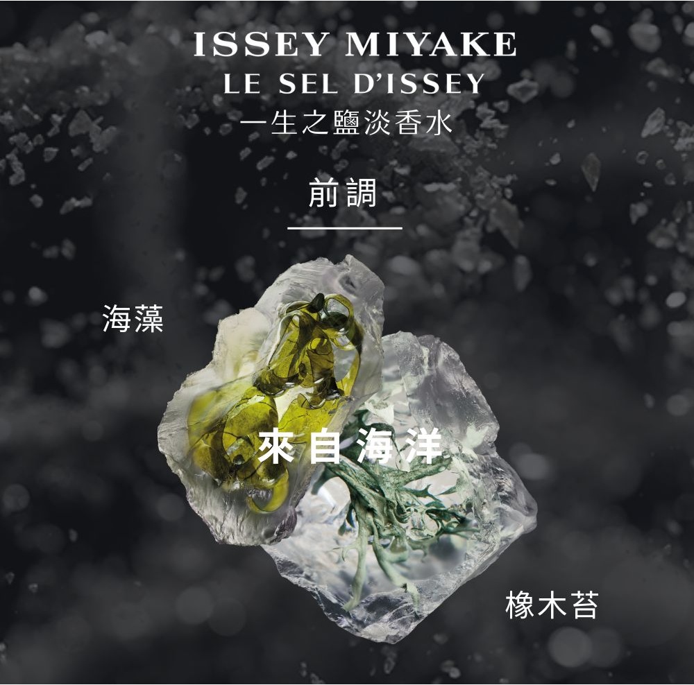 æµ·è» çä¹é¹½æ·¡é¦æ°´ åèª¿ ä¾èªæµ·æ´ æ©¡æ¨è 