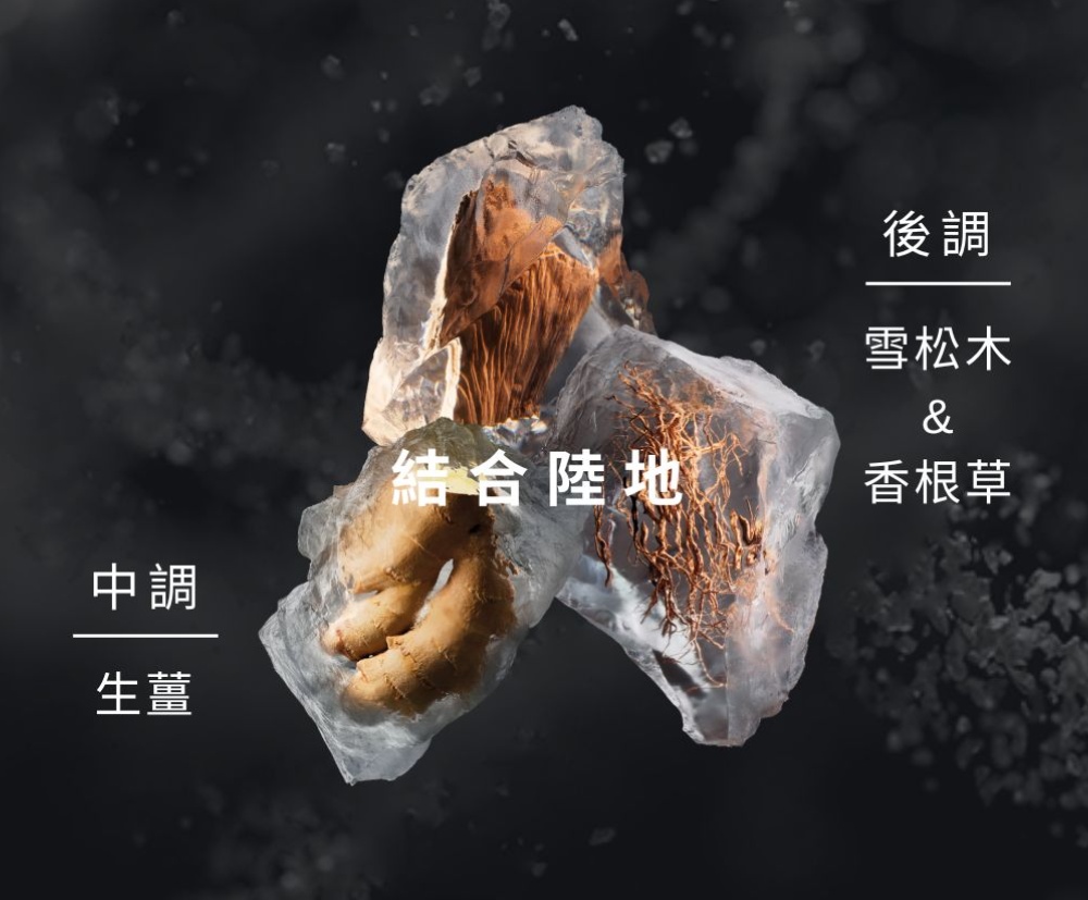 çµåé¸å°