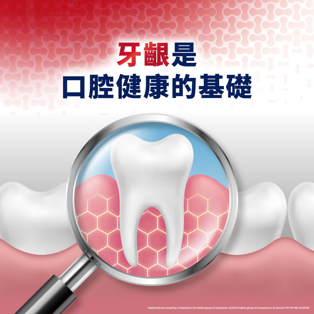 牙齦是 口腔健康的基礎