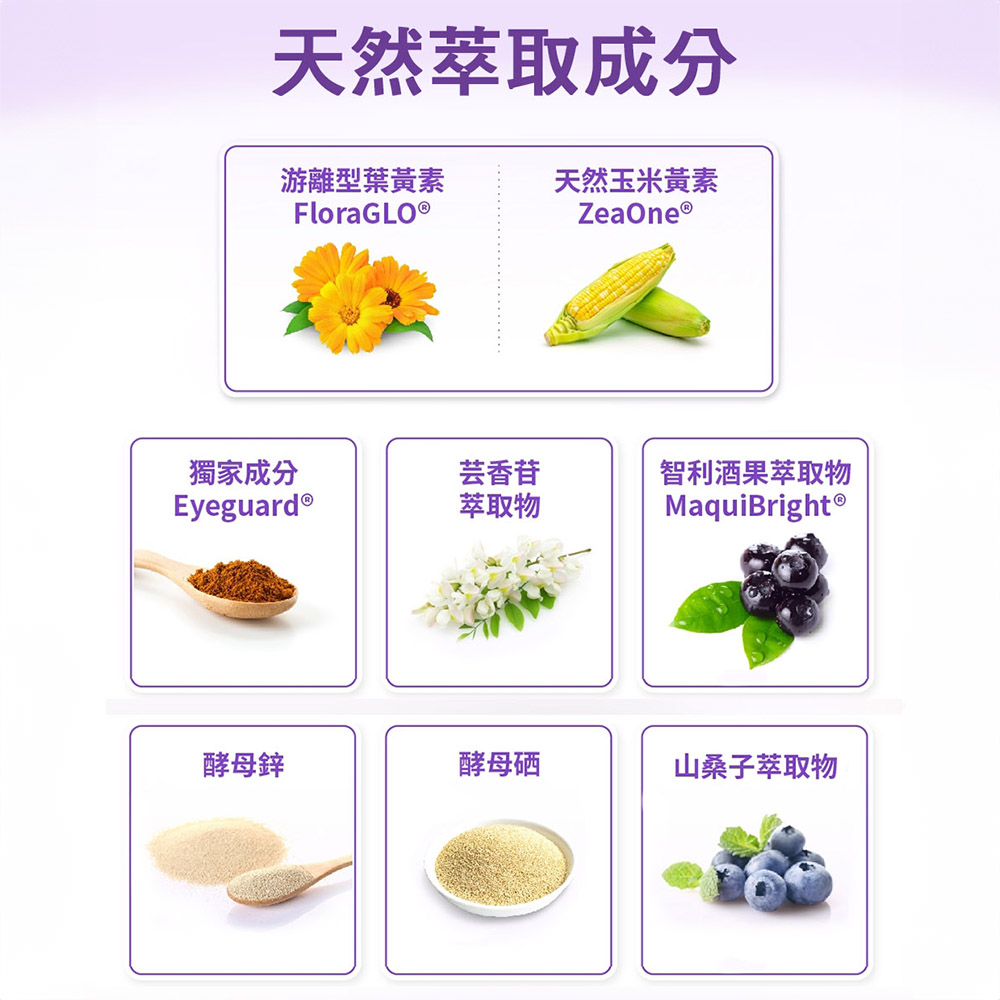 智利酒果萃取物