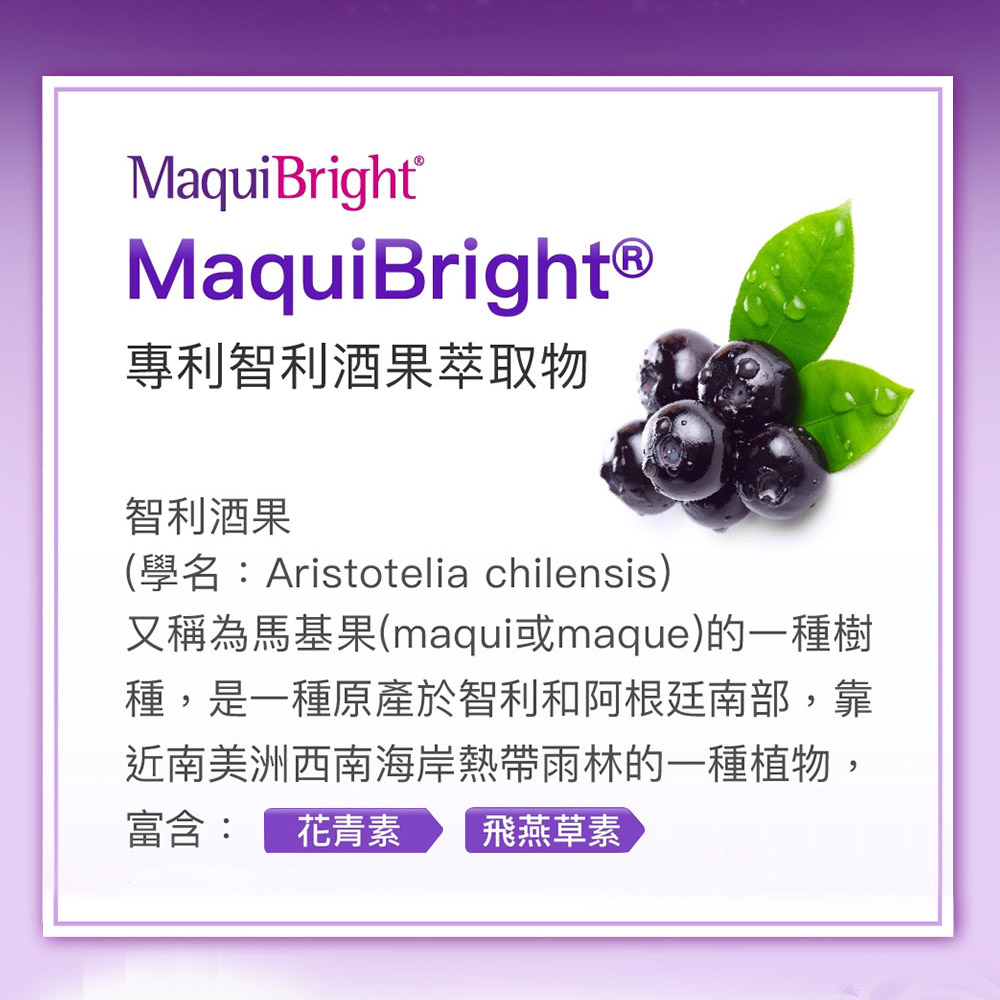 學名Aristotelia chilensis