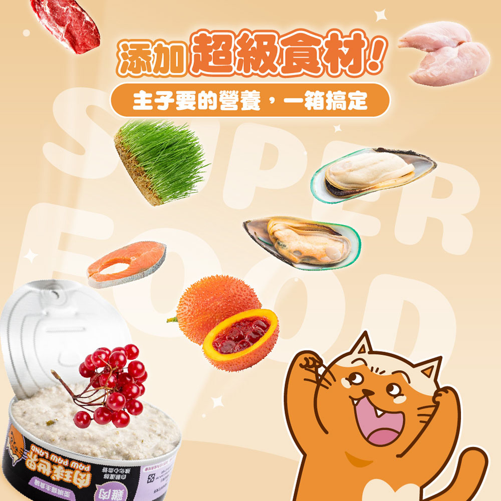 PAW PAW LAND 肉球世界 全齡貓主食綜合組合(主食