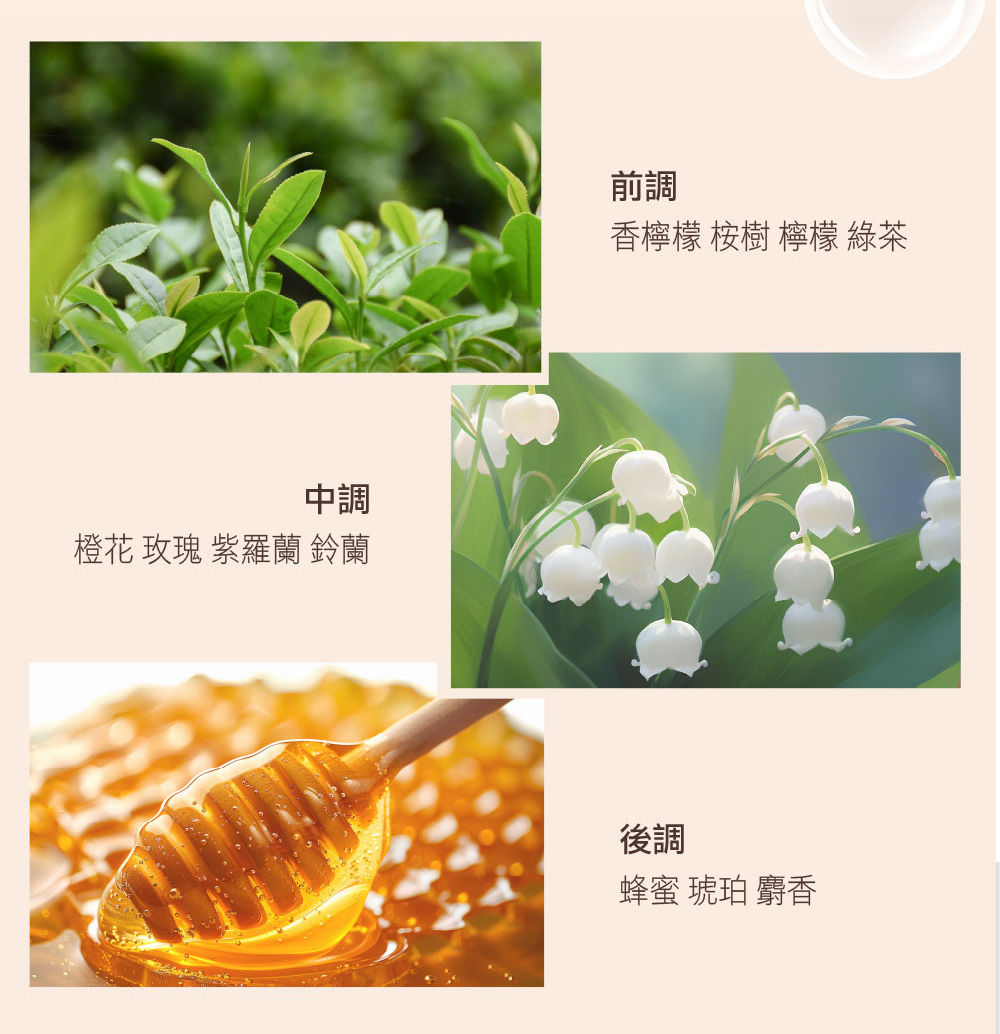 橙花 玫瑰 紫羅蘭 鈴蘭