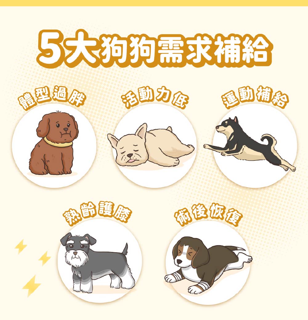 5大狗狗需求補給 爾後飲食 