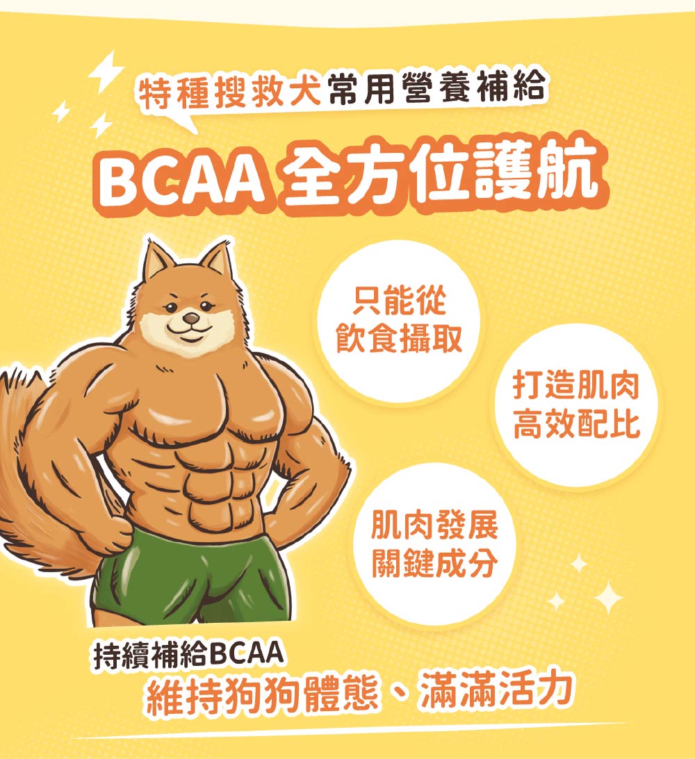 特種搜救犬常用營養補給