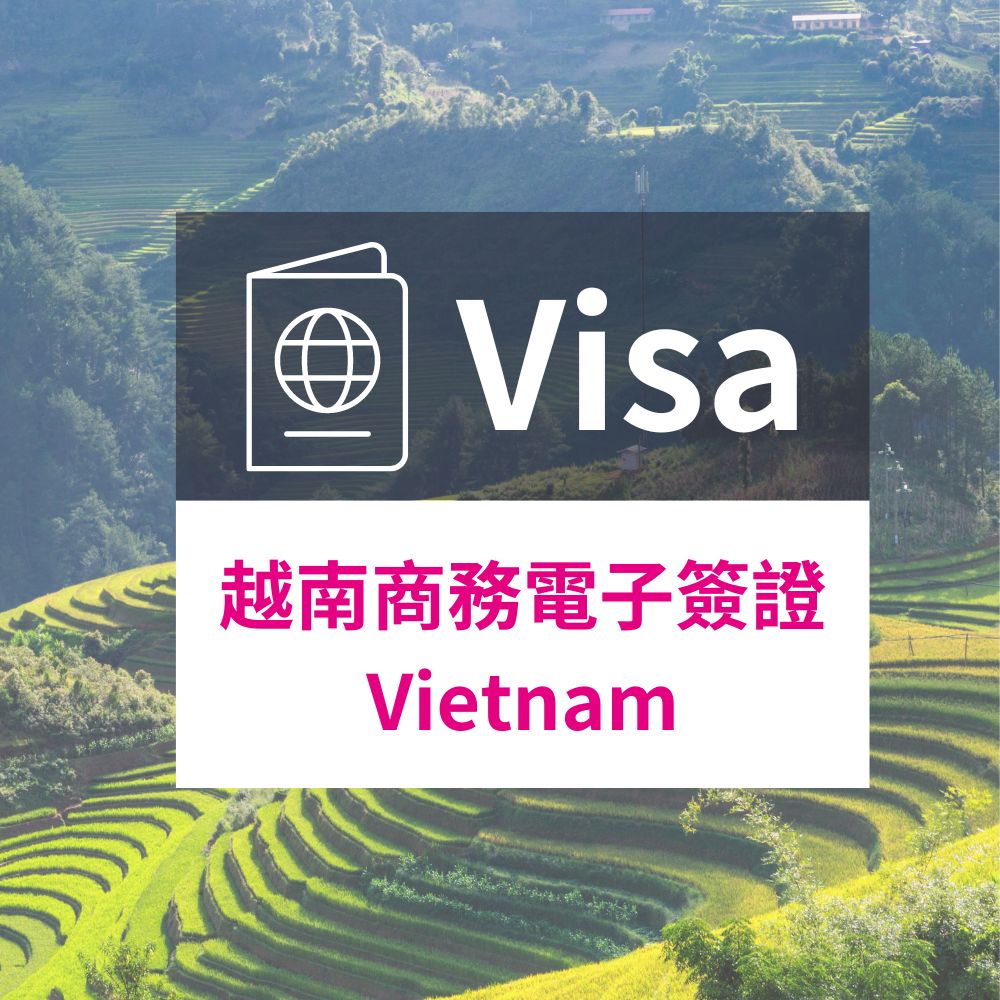 越南電子商務簽證 一個月單次(8個工作天 不含六日) 推薦
