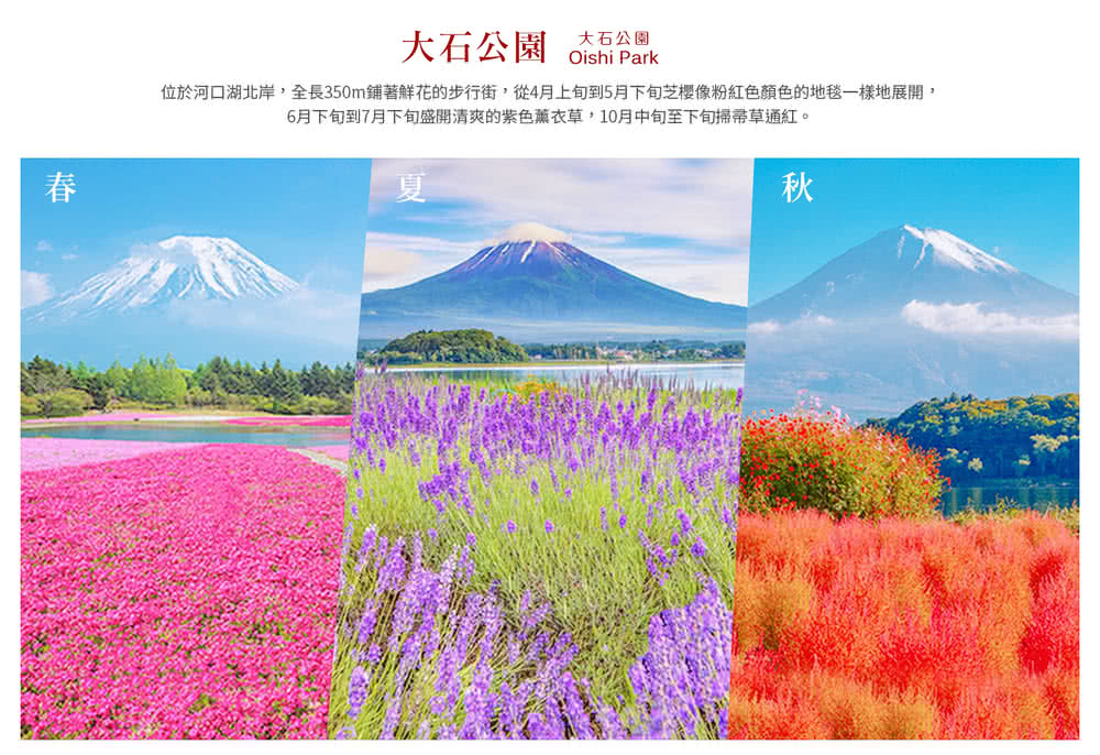 喜鴻假期 【小不佔省６千．東京親子玩雪趣５日】草莓吃到飽、叢