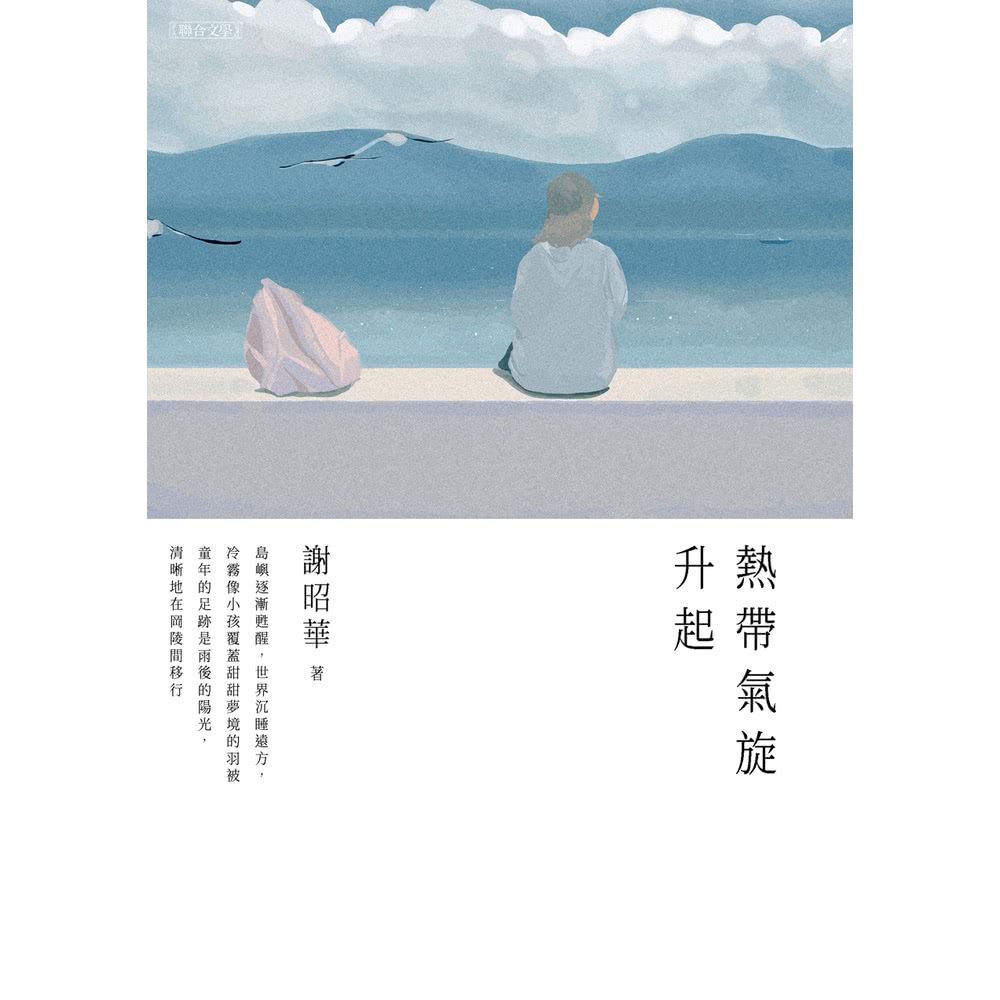 【momoBOOK】熱帶氣旋升起(電子書)優惠推薦