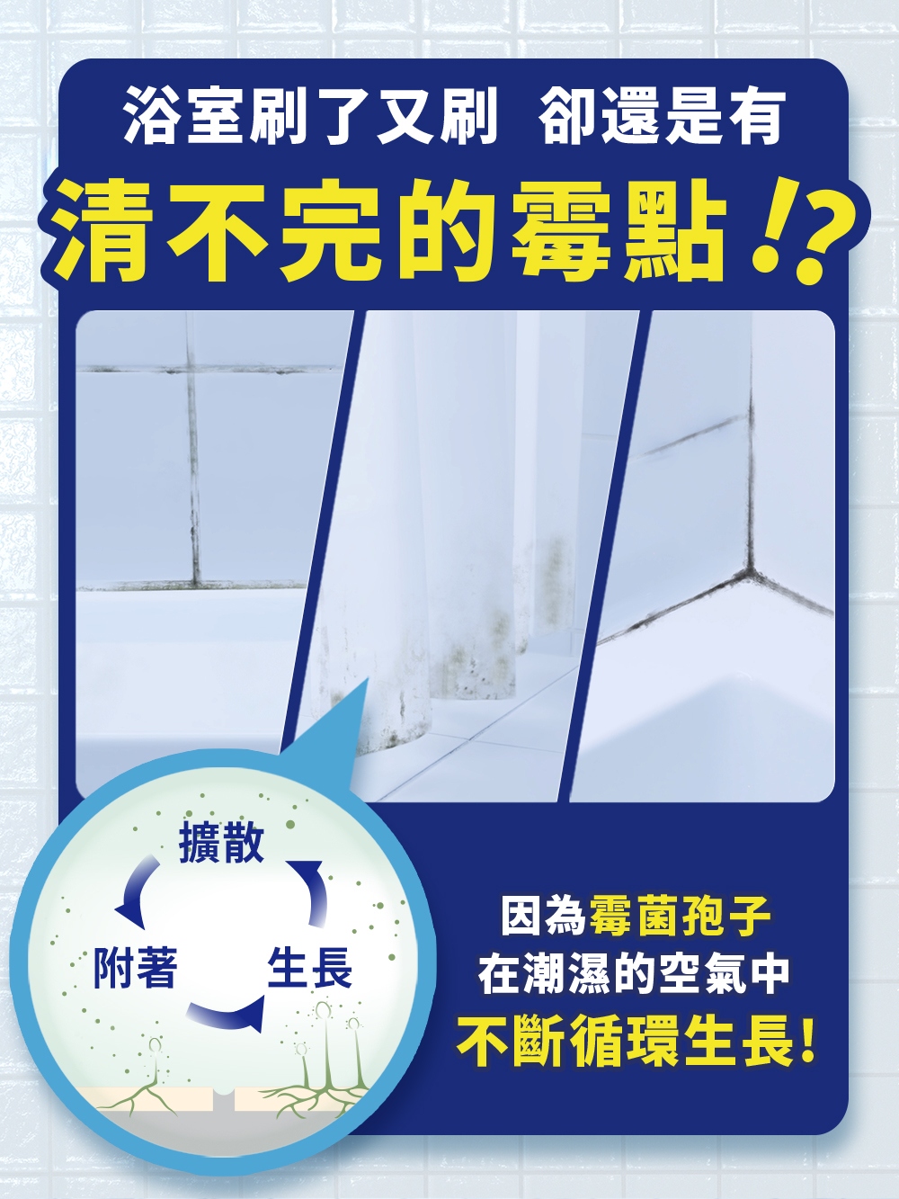 浴室刷了又刷 卻還是有