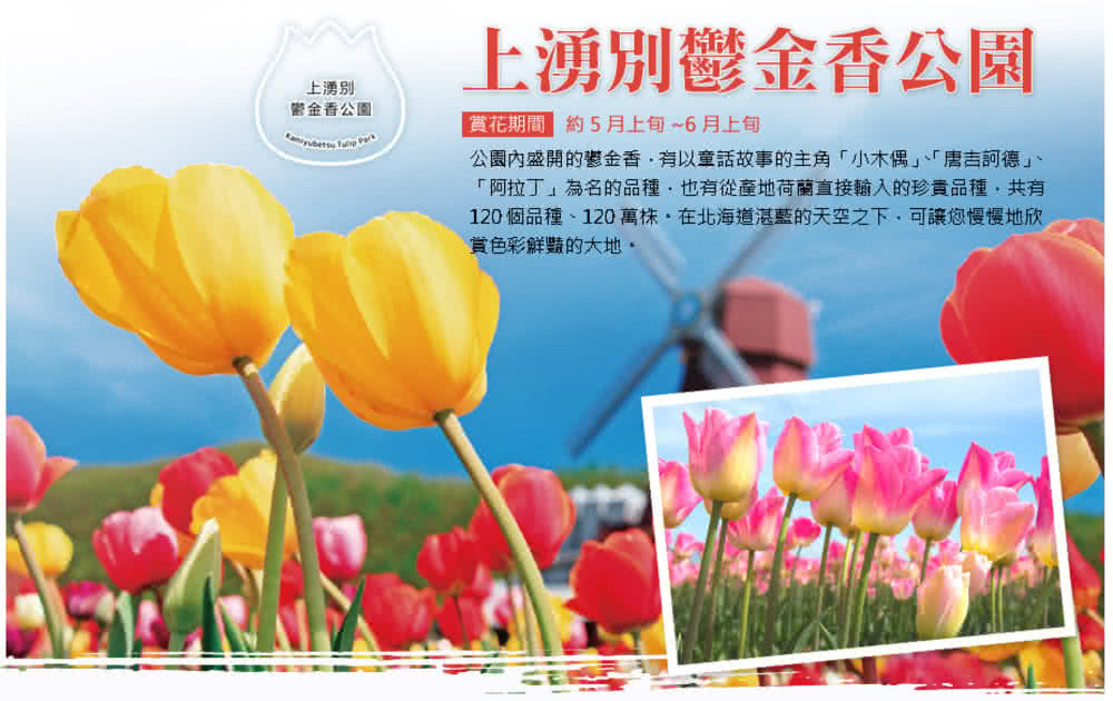 喜鴻假期 【北海道道東花海５日】芝櫻公園、浪漫鬱金香、旭山動