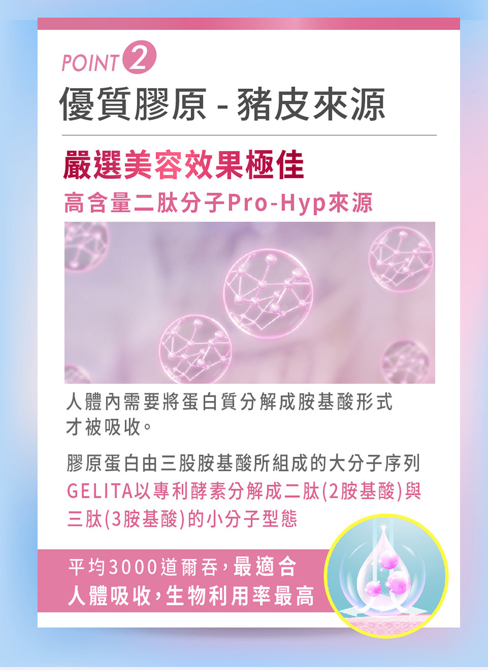 GELITA以專利酵素分解成二肽2胺基酸與