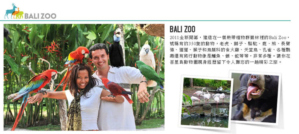 喜鴻假期 【６人成行．峇里島５日】奇幻野生動物園、體驗與海豚