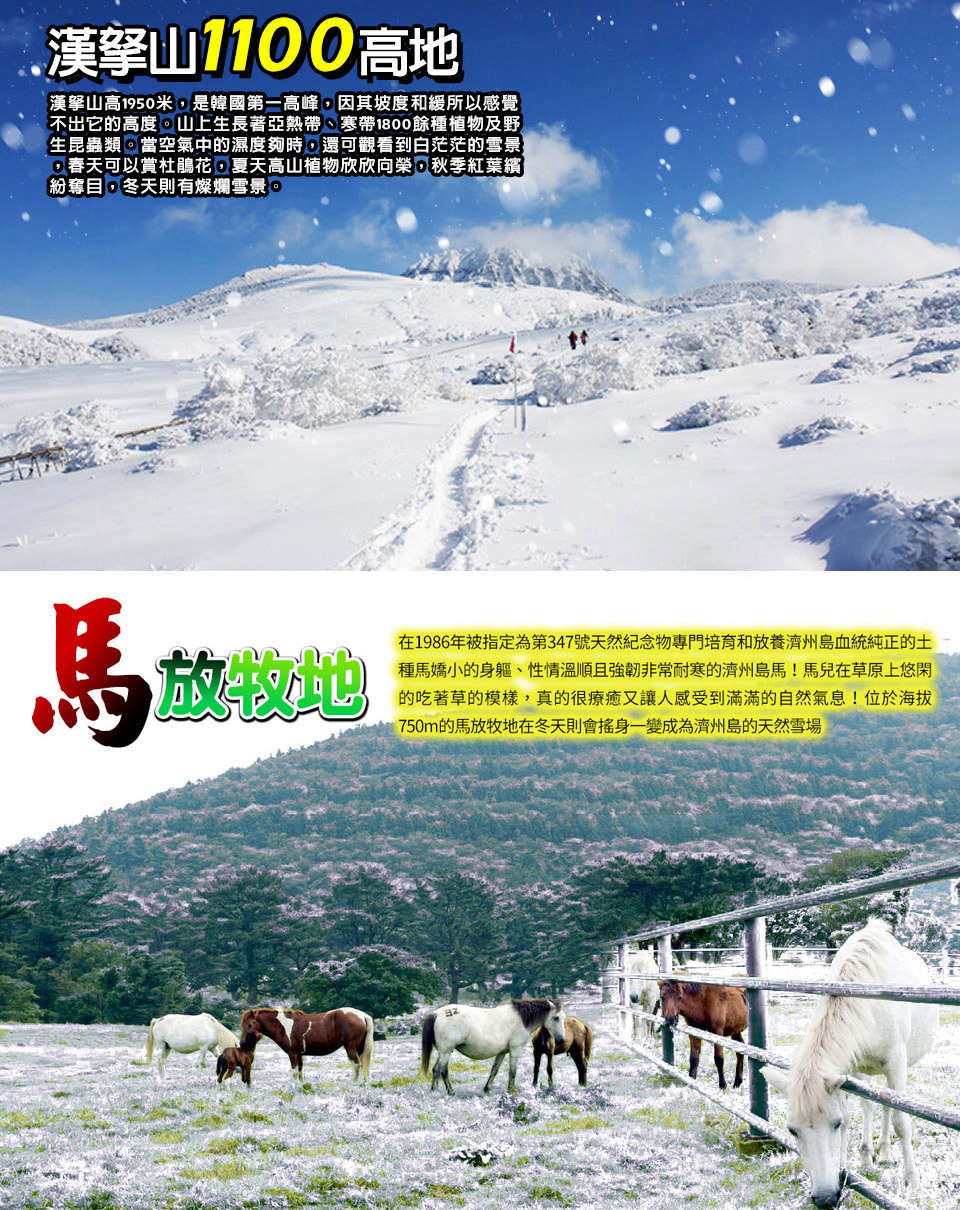 12-2月冬季出發↘ 威風冬遊嗨翻濟州-英式小火車、1100