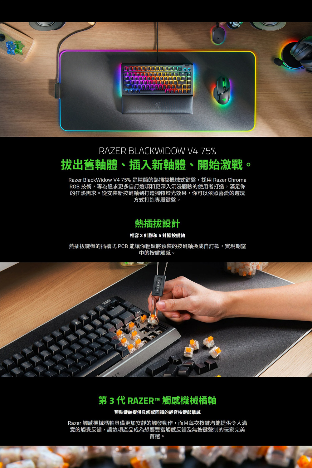 Razer 雷蛇 BlackWidow V4 75% 黑寡婦