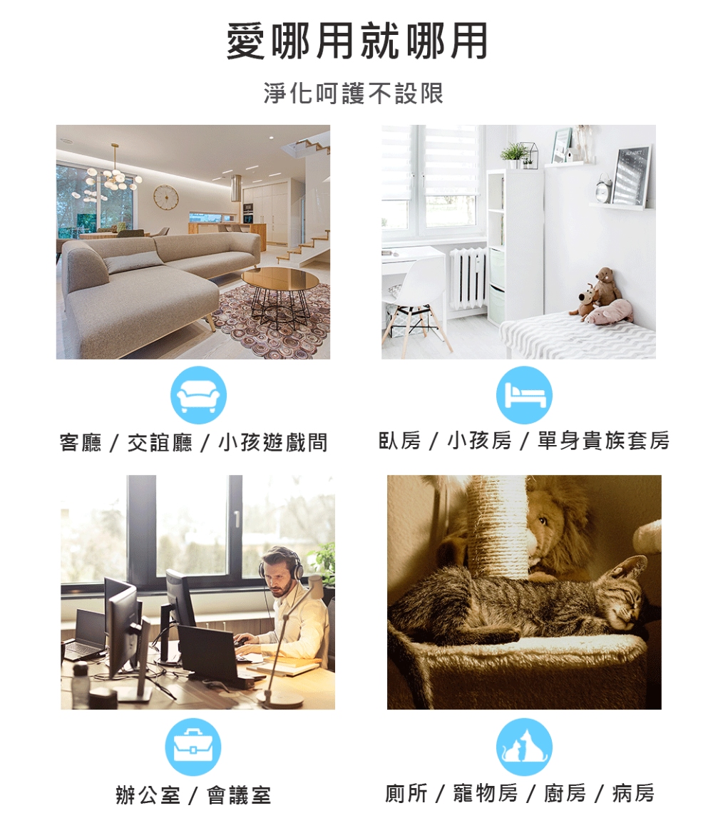 臥房  小孩房  單身貴族套房