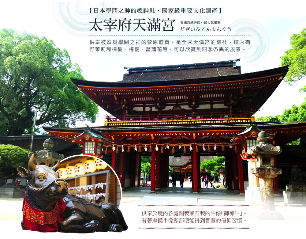 喜鴻假期 【冬遊九州親子探險趣5日】叢林巴士、福岡海生館、九