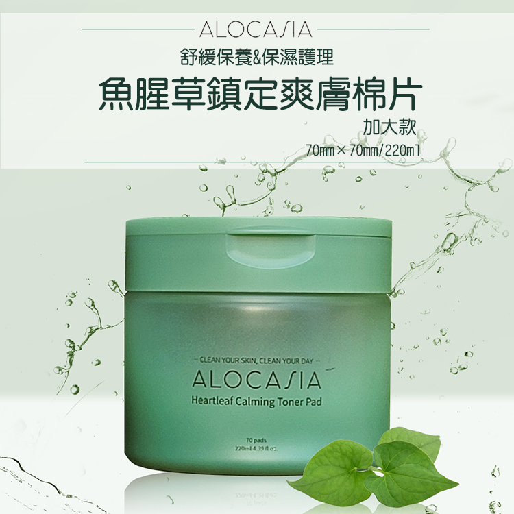 Alocasia 魚腥草鎮定爽膚棉片-加大版(70mmx70