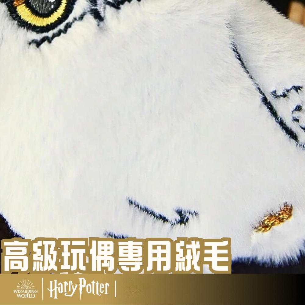 é«ç´ç©å¶å°ç¨çµ¨æ¯ 