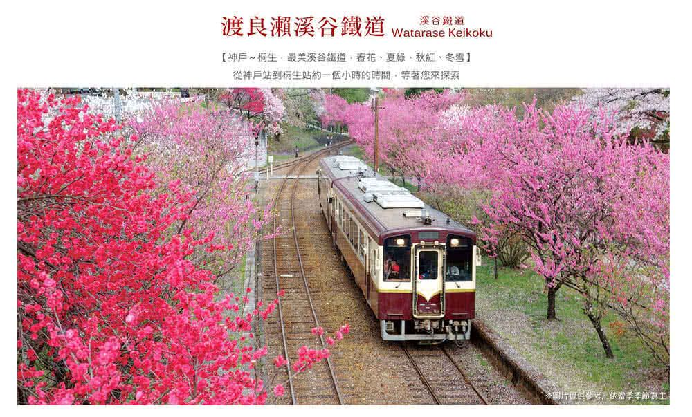 喜鴻假期 【日光輕井澤．東京秘境泡湯７日】最美只見線、會津鐵