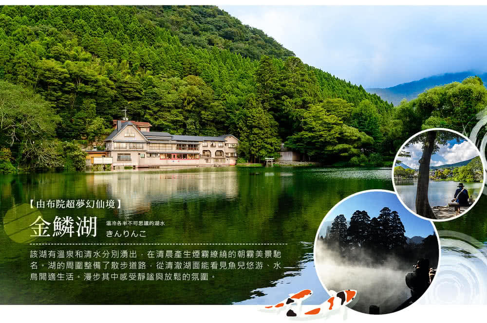 喜鴻假期 【九州紫藤海陸空５日】浪漫紫藤、由布院鐵道、柳川遊