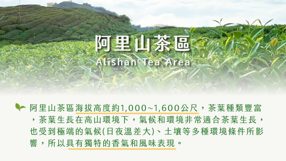 é¿éå±±è¶å é¿éå±±è¶åæµ·æé«åº¦ç´1,0001,600å¬å°º,è¶èç¨®é¡è±å¯ è¶èçé·å¨é«å±±ç°å¢ä¸,æ°£ååç°å¢éå¸¸é©åè¶èçé·, ä¹åå°æ¥µç«¯çæ°£åæ¥å¤æº«å·®å¤§ãåå£¤ç­å¤ç¨®ç°å¢æ¢ä»¶æå½± é¿,æä»¥å·æç¨ç¹çé¦æ°£åé¢¨å³è¡¨ç¾ã 