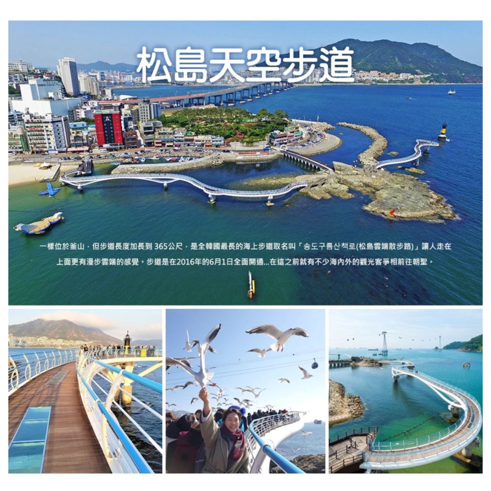 順怡旅遊 飛躍邱釜三城滑雪去 ★促銷版★ 5+1天(真航空 