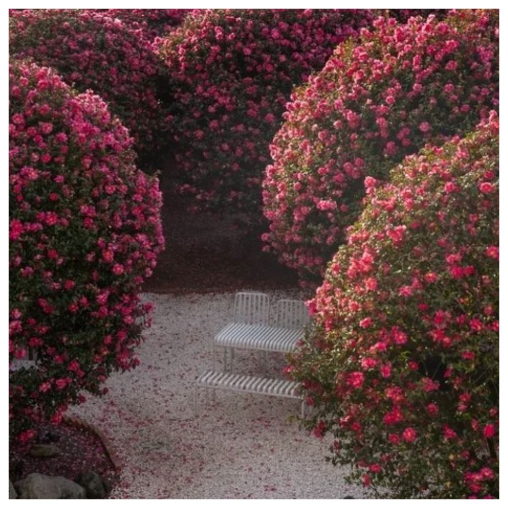 順怡旅遊 ★強檔促銷★ 哈囉濟州越來越好玩五天(德威航空) 