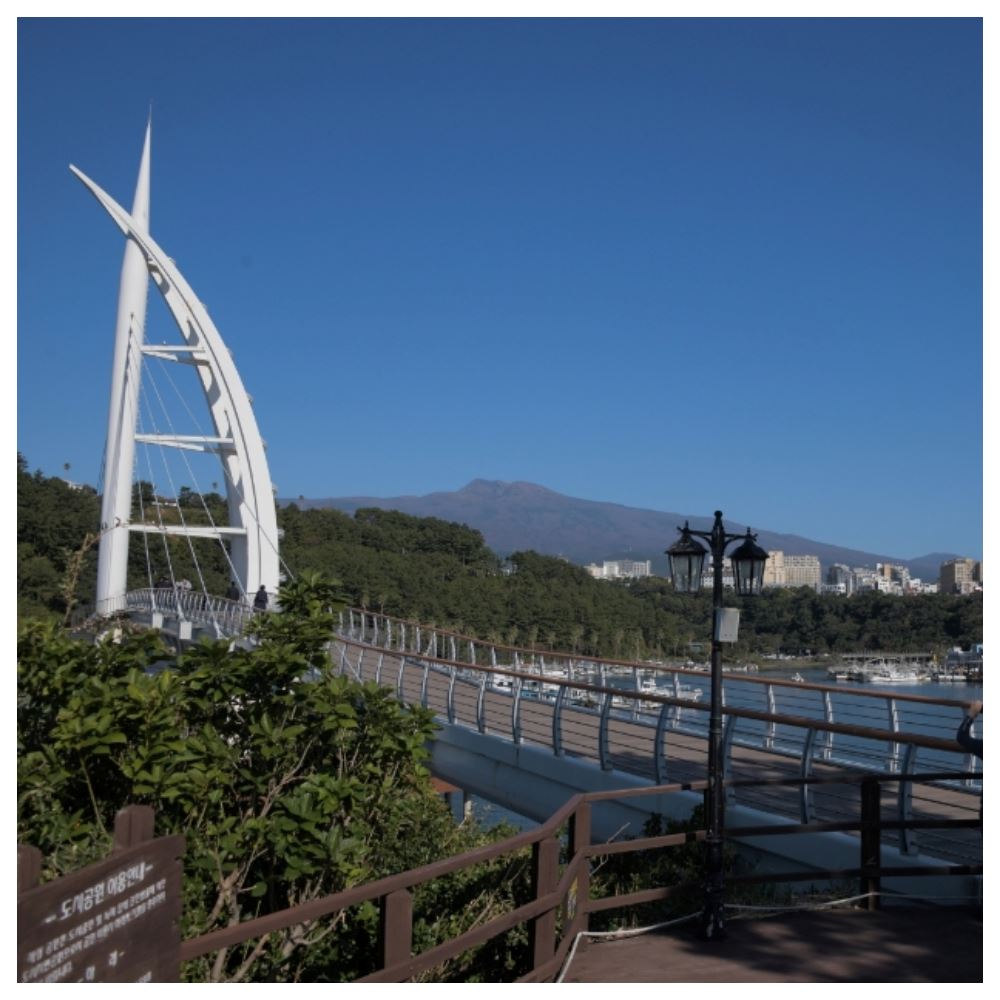 順怡旅遊 ★強檔促銷★ 哈囉濟州越來越好玩五天(德威航空) 