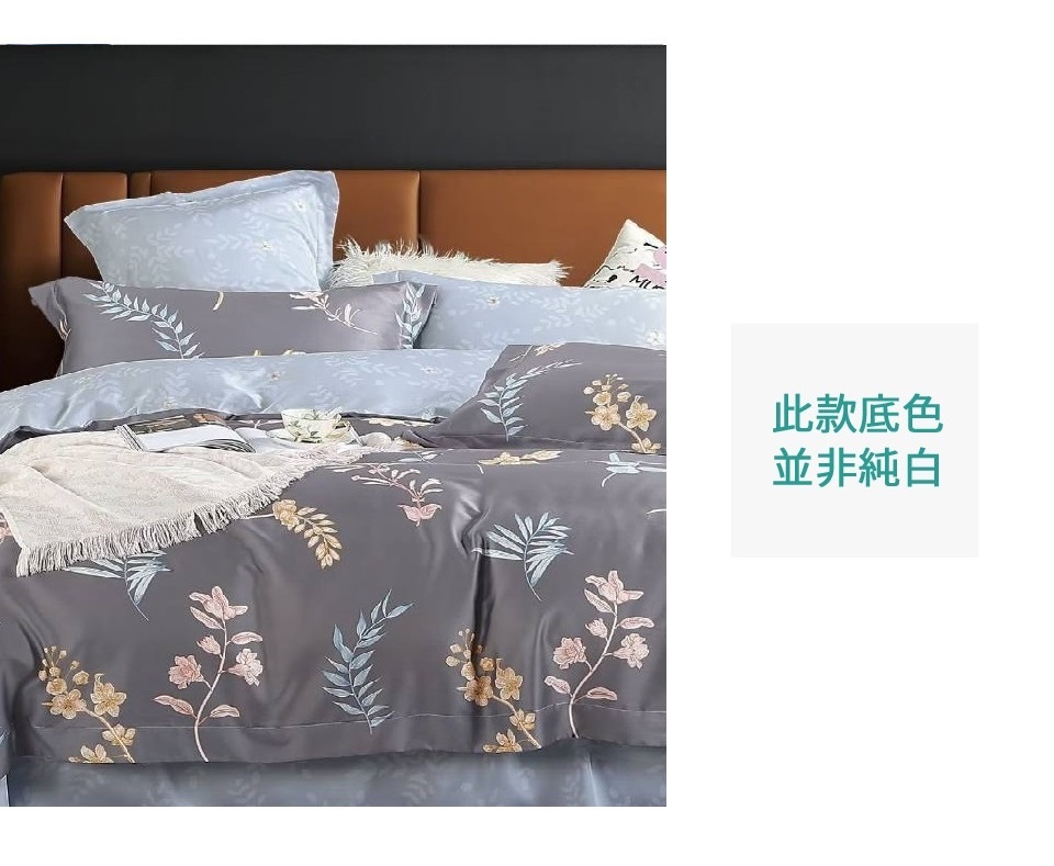 LAMINA 加大 風行時光 100%萊賽爾天絲兩用被套床包
