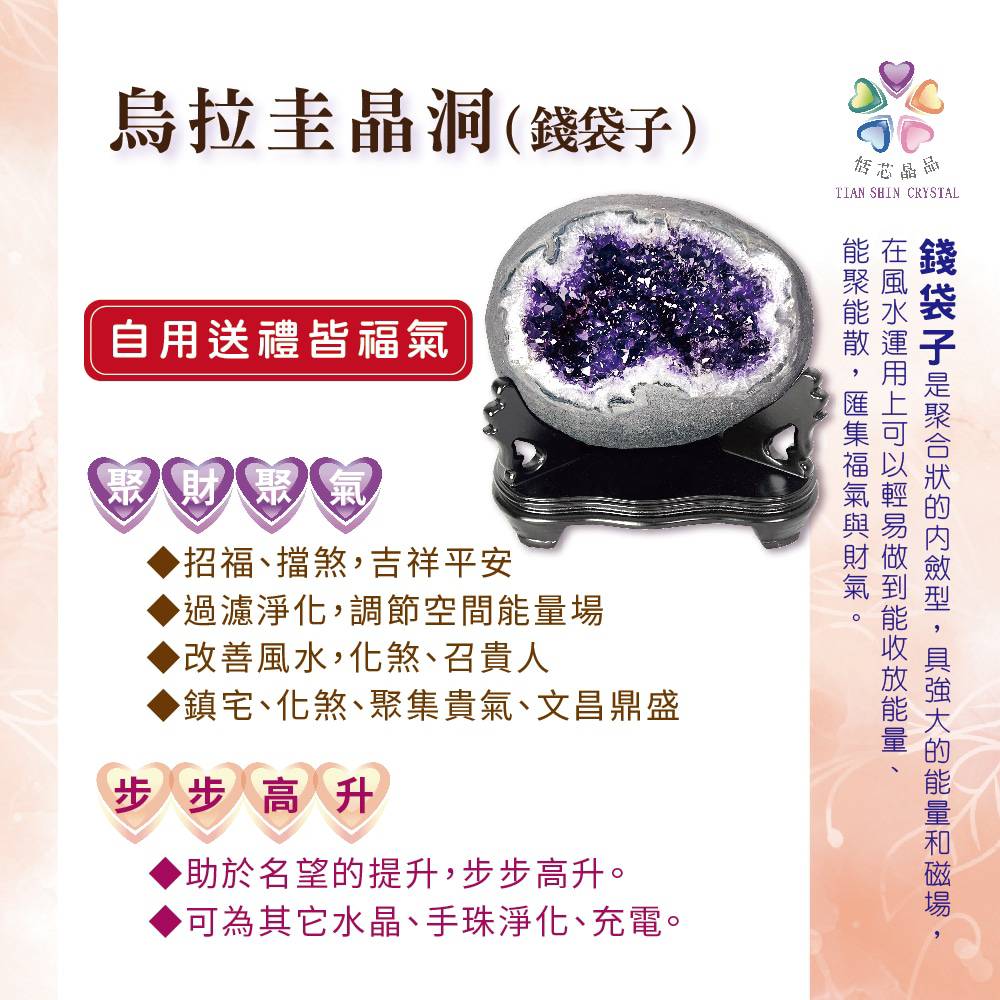é¢è¢å­æ¯èåççåæå,å·å¼·å¤§çè½éåç£å ´,