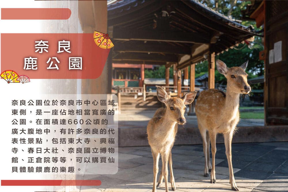 吉航旅遊 精緻假期~京阪神環球影城.嵐山渡月橋.清水寺.神戶