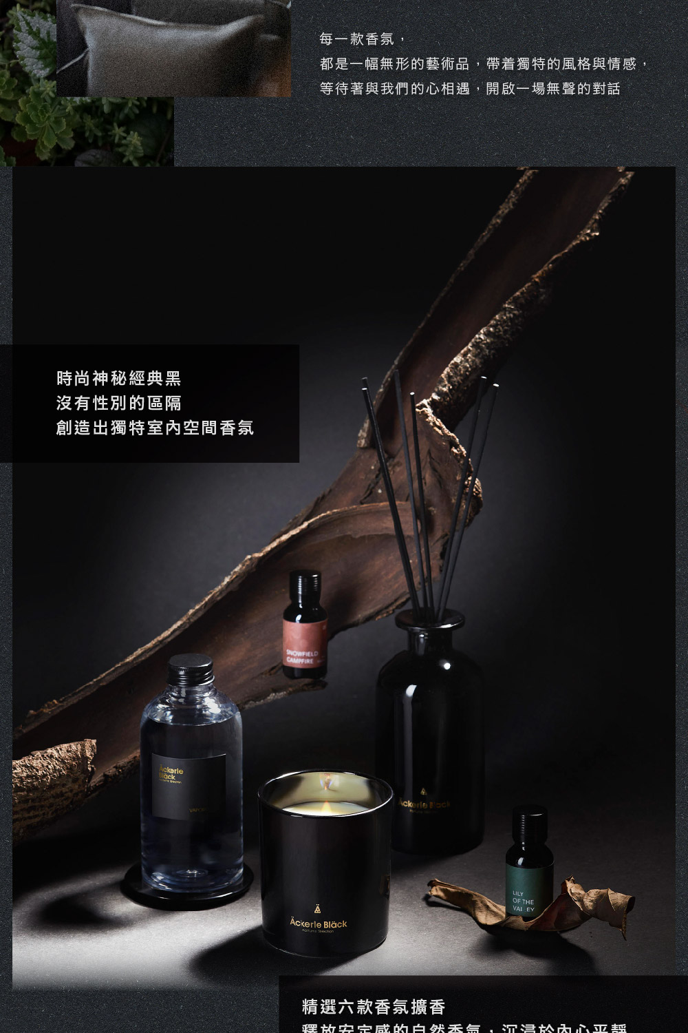 é½æ¯ä¸å¹ç¡å½¢çèè¡å,å¸¶çç¨ç¹çé¢¨æ ¼èææ,