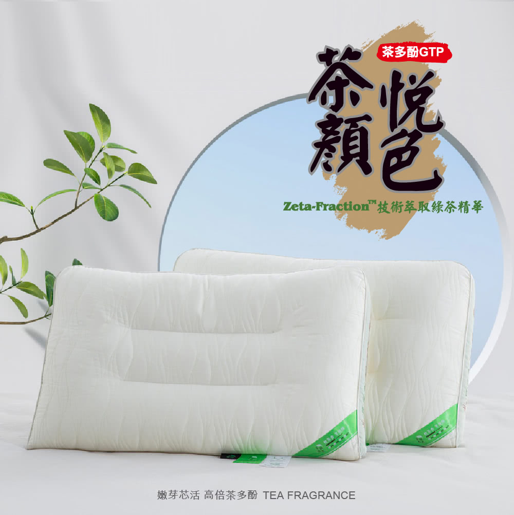 Ez.SLEEP 舒眠博士 茶顏悅色枕優惠推薦