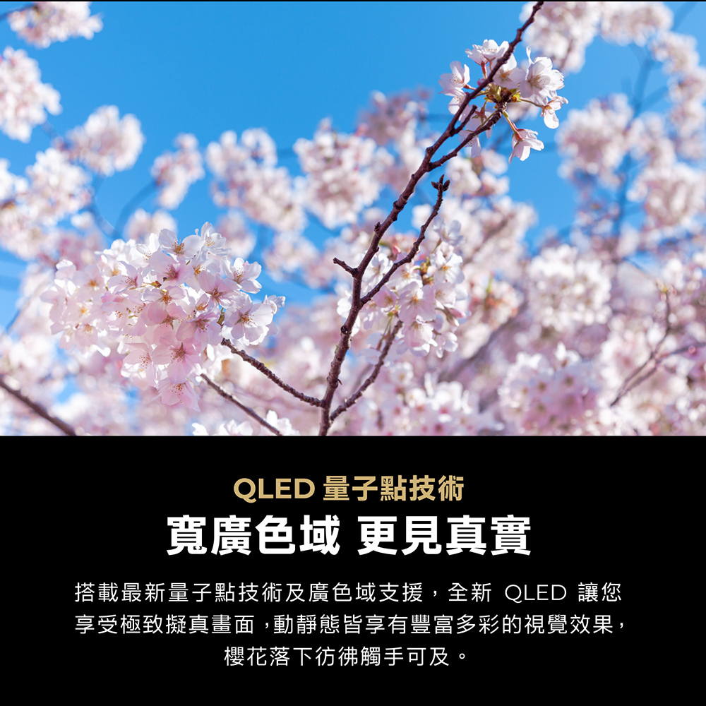QLED 量子點技術寬廣色域 更見真實搭載最新量子點技術及廣色域支援,全新 QLED 讓您享受極致擬真畫面,動靜態皆享有豐富多彩的視覺效果,櫻花落下彷彿觸手可及。