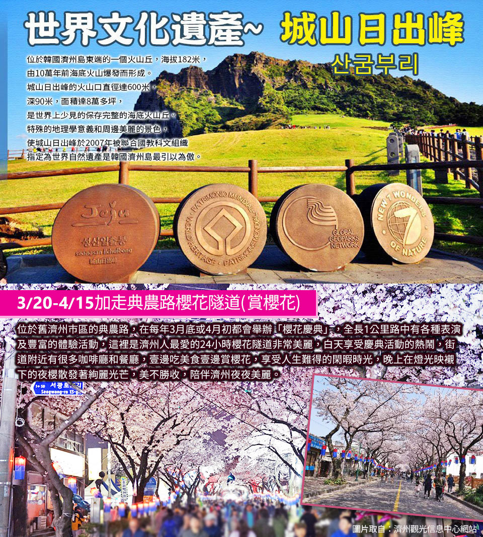 3/20-4/15賞櫻限定↘ 威瘋粉櫻濟州五日~櫻花隧道、汗